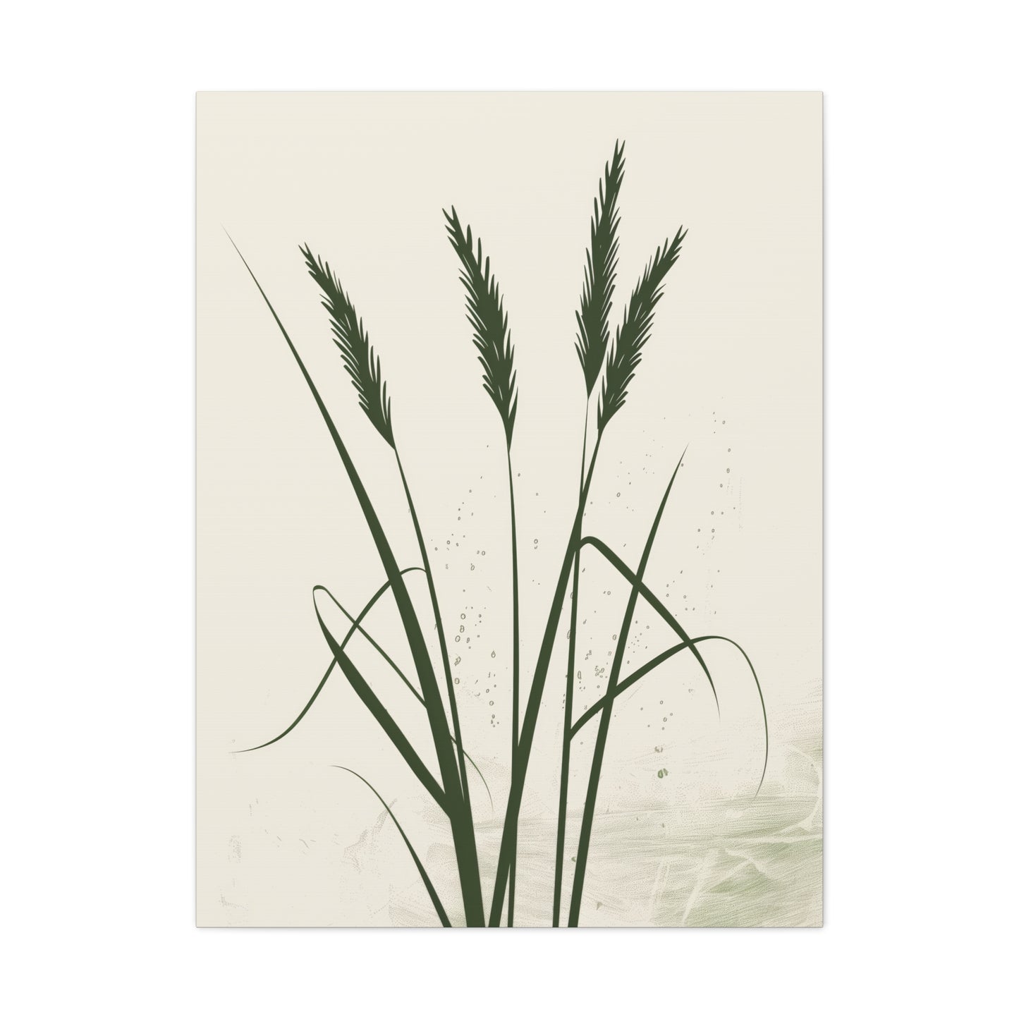 Grass Plant - Illustration Canvas Gallery Wraps