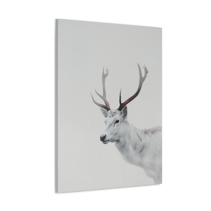 White Reindeer Digital Illustration Canvas Gallery Wraps