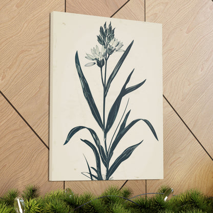 Grass Flower Digital Illustration Canvas Gallery Wraps