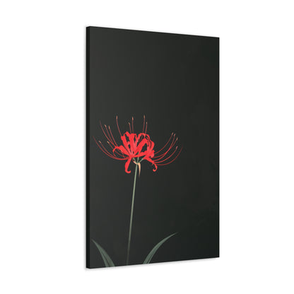 Red Spider Lily Flower Digital Illustration Canvas Gallery Wraps