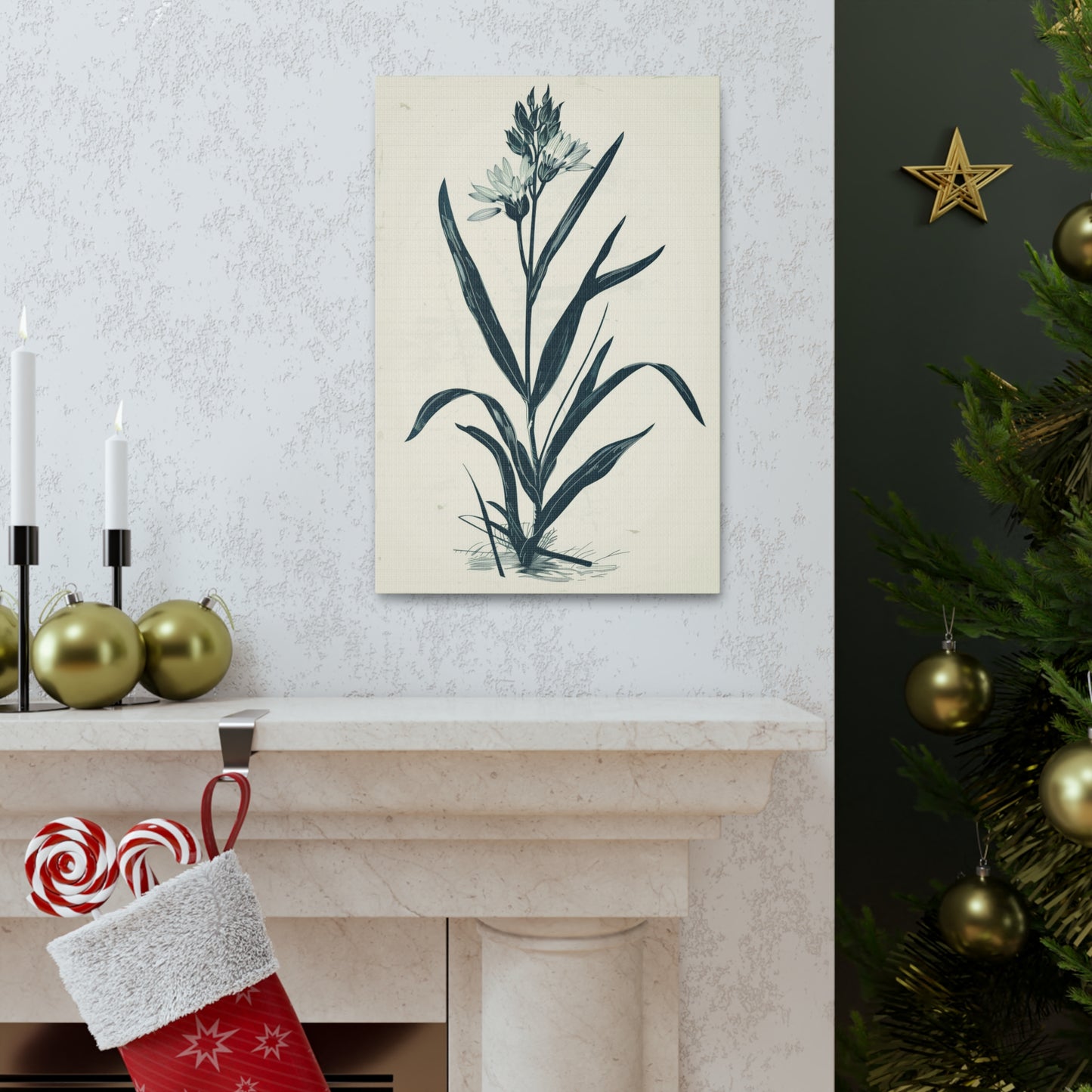 Grass Flower Digital Illustration Canvas Gallery Wraps