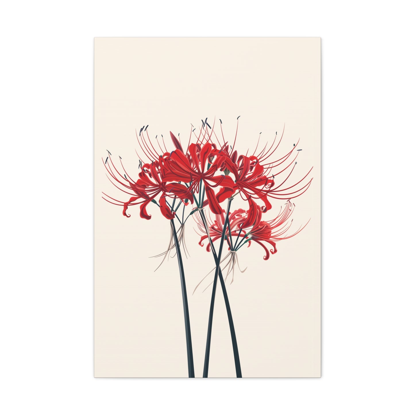 Red Spider Lily Flower Digital Illustration Canvas Gallery Wraps